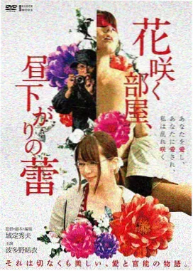 八两金
